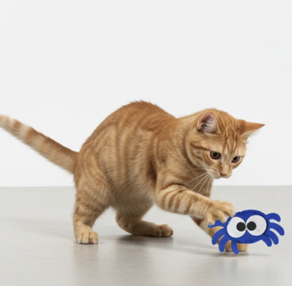 Test 8 - Skatrs Spidey Paws Catnip Toy for Cats