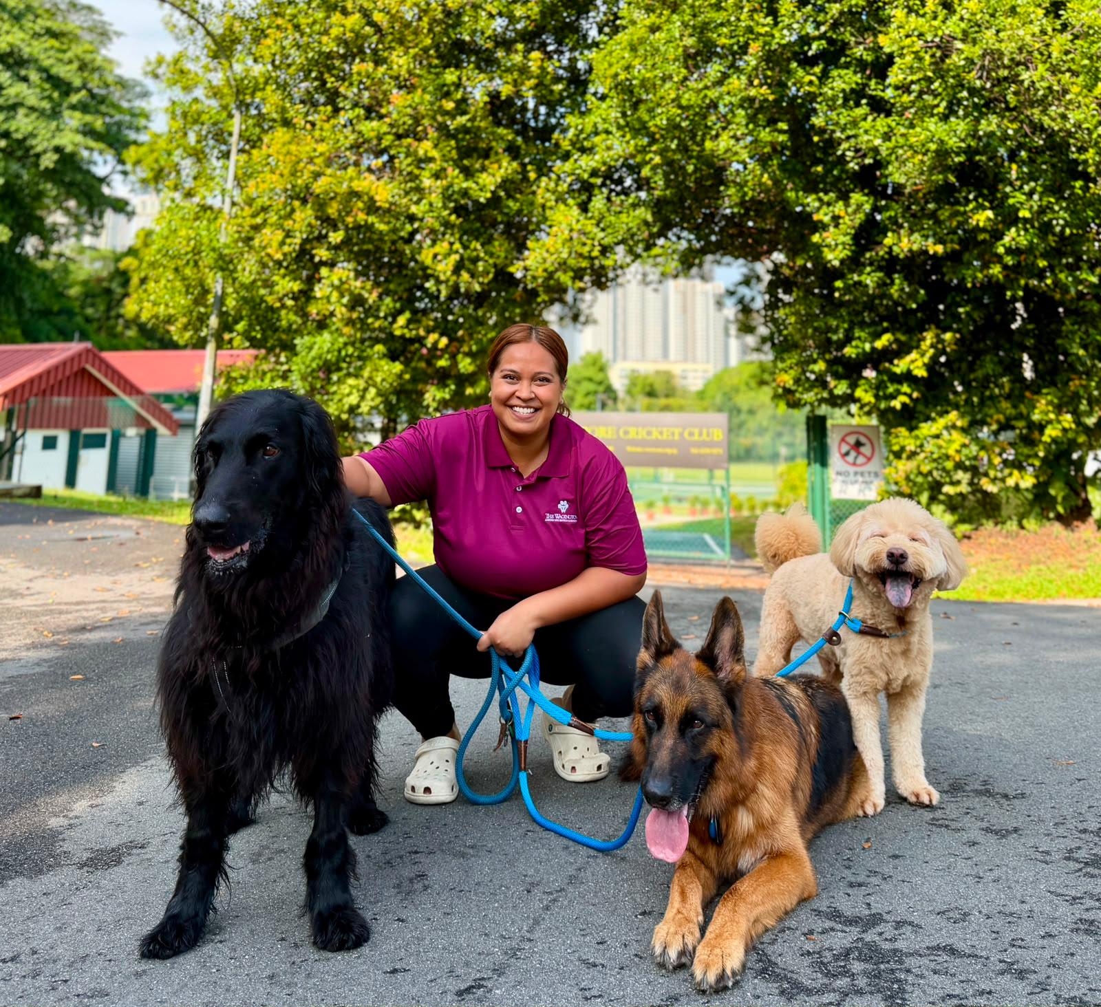  Test - 20 Days Daycare Package (Extra Large Dog)