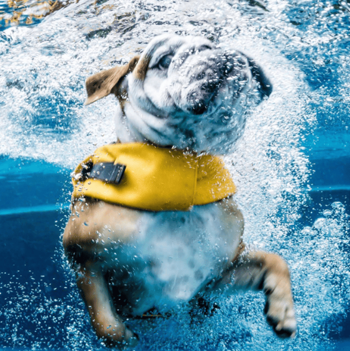 Private Bone Pool (10 sessions)