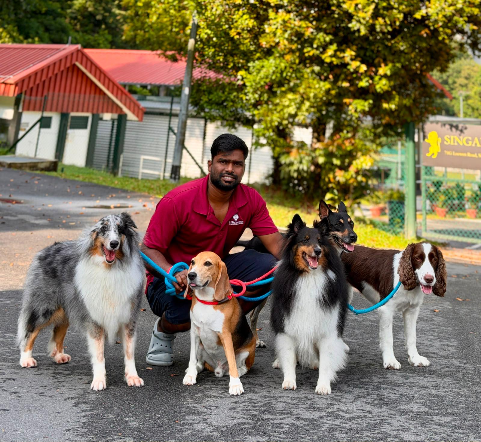 Test - 20 Days Daycare Package (Medium Dog)