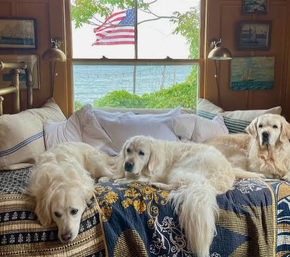 5STAR-ROOM