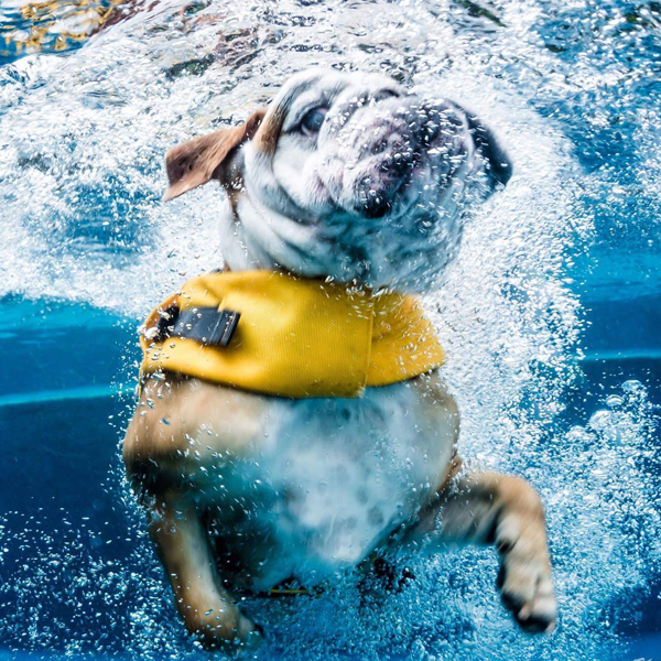  Test 33- Pool 