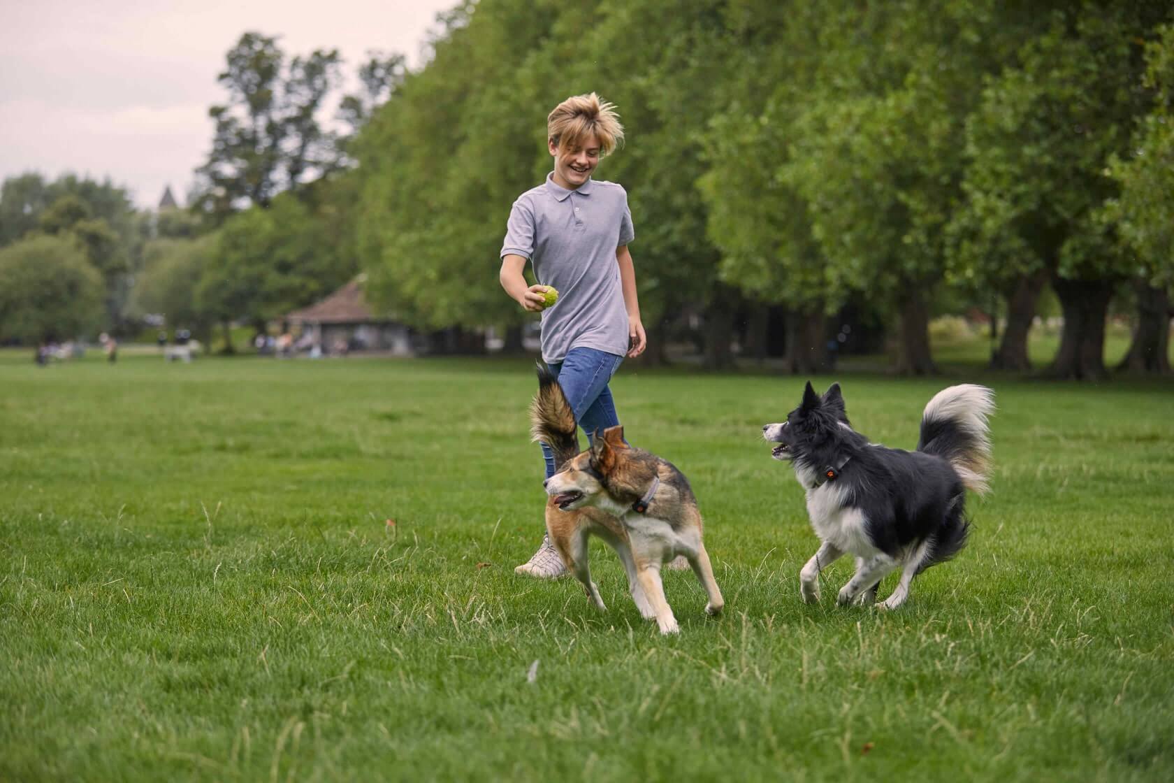 Walking Exercise for Dogs