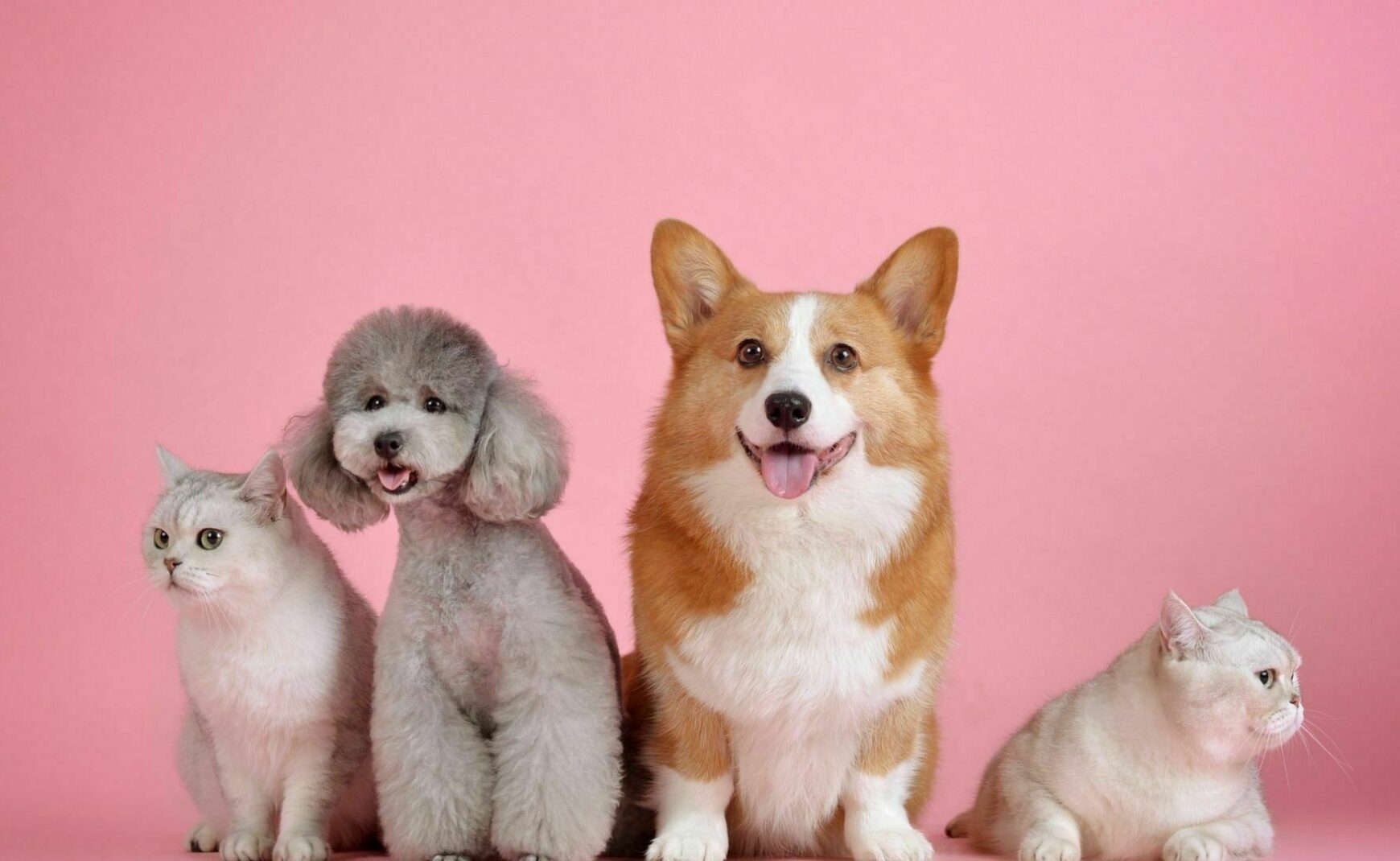  Test 5- Events 