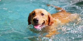 PUBLIC-POOL-TEST-V1