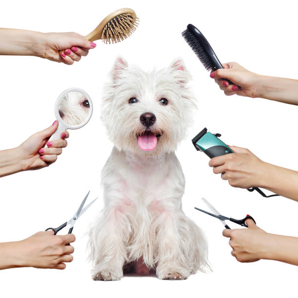 Test 5- Nail & Paw Trimming